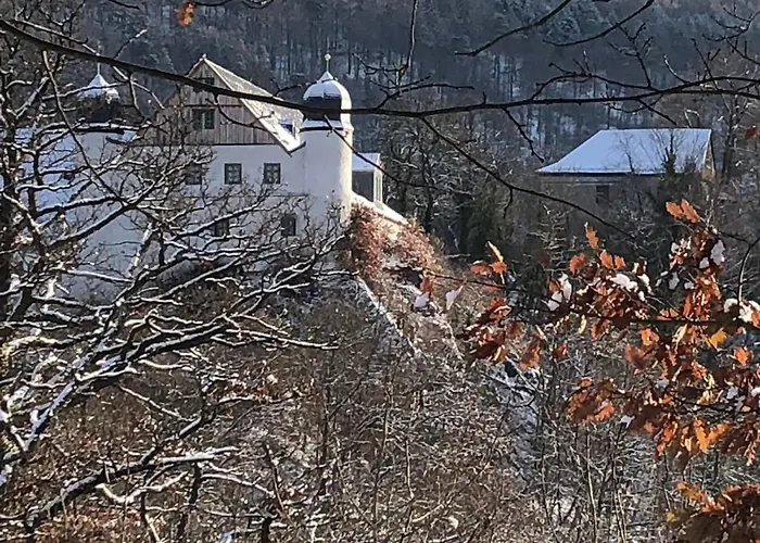 Schwarzatal Apartament